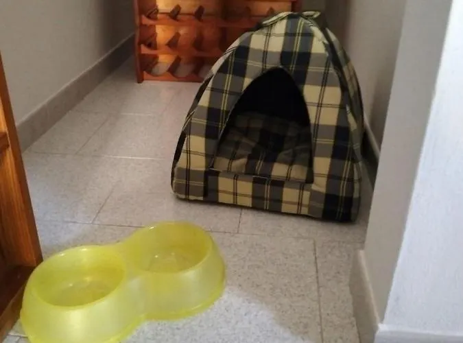 Da Rox Centro 度假居